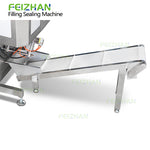 Discharge Conveyor of Semi Fluid Packaging Machine