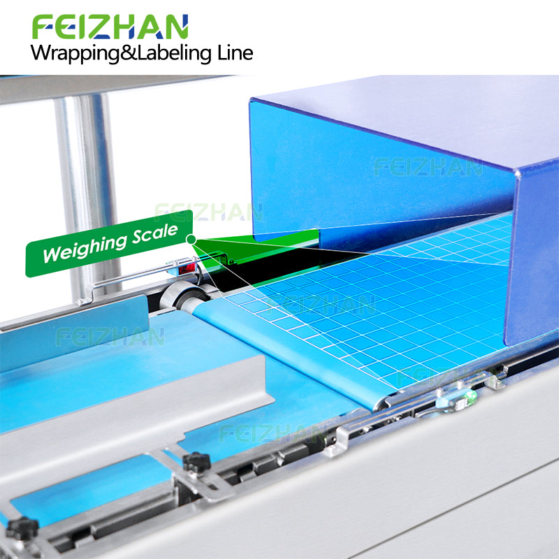 nitrogen filling structure of automatic flow wrapper with weighing system